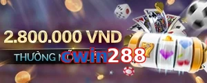 cwin288