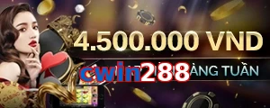cwin288