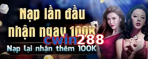 cwin288