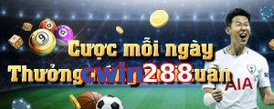 cwin288